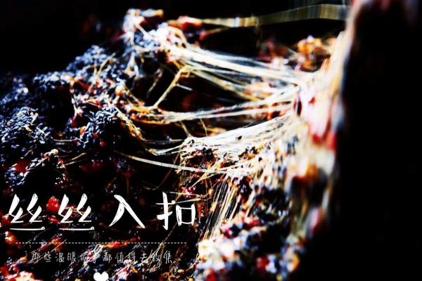 东阿阿胶哪种好