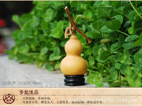 厂家19年新手捻葫芦把玩小葫芦美国文玩天然小葫芦民间工艺