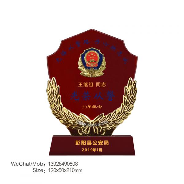 政协奖牌 换届纪念品 杰出政协委员纪念证牌 杰出提案奖品定做厂家